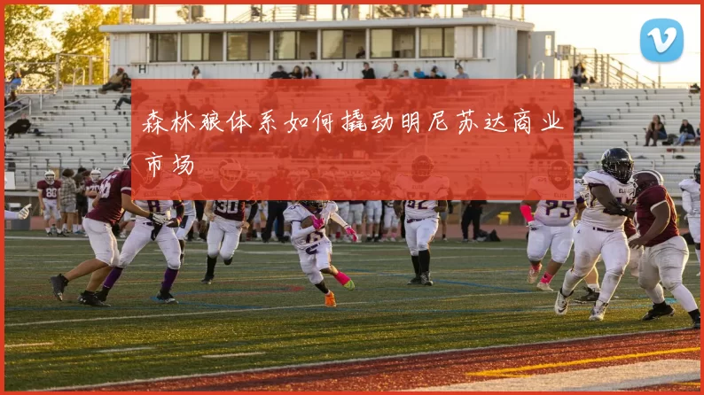 森林狼体系如何撬动明尼苏达商业市场