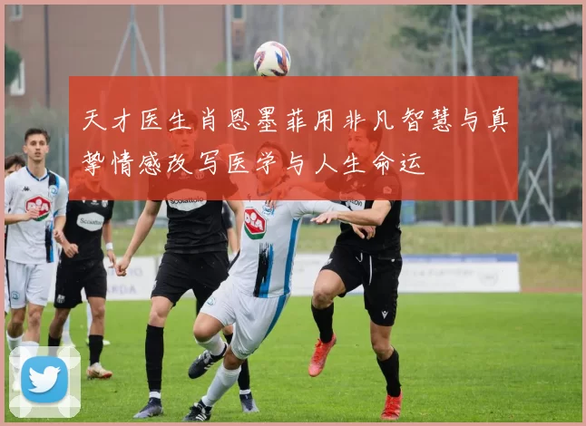 天才医生肖恩墨菲用非凡智慧与真挚情感改写医学与人生命运