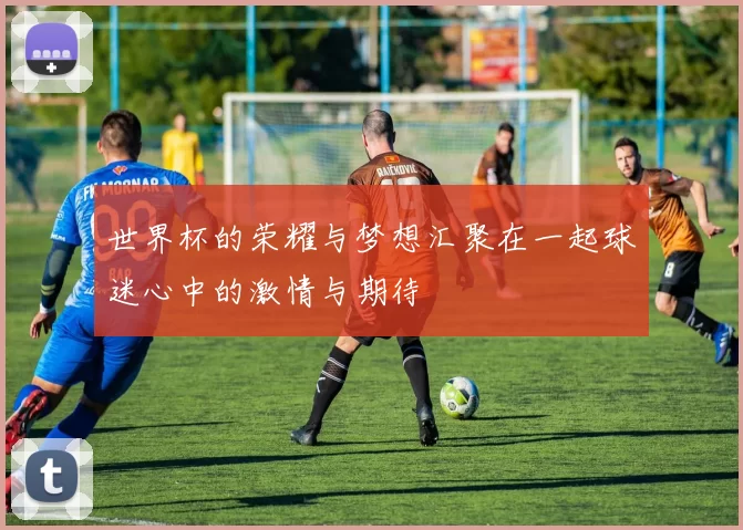 世界杯的荣耀与梦想汇聚在一起球迷心中的激情与期待