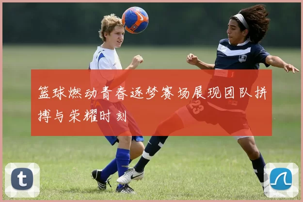 篮球燃动青春逐梦赛场展现团队拼搏与荣耀时刻